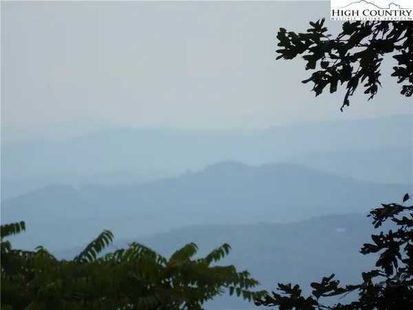 a view of a plant in a field