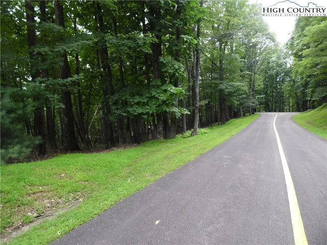 a view of a green yard with large trees