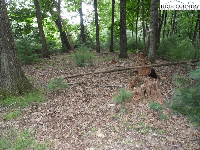 a view of outdoor space and green space