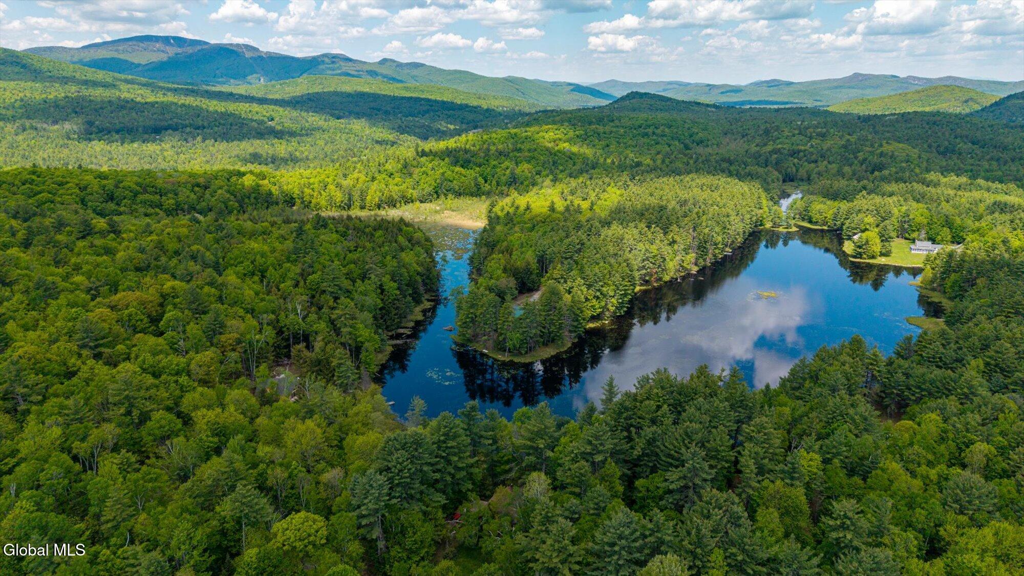 175 Antler Lake Road Johnsburg, NY 12886 - Photo 15 of 54 01-ADK-1