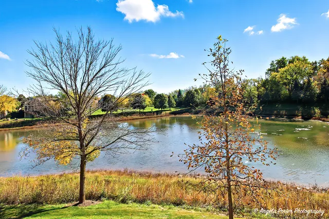 a view of a lake with a yard and large trees