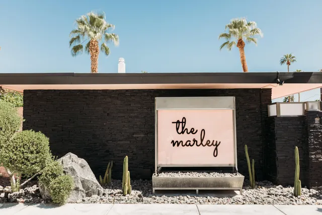 a picture of a potted plant