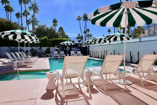 a view of a chairs and table in backyard