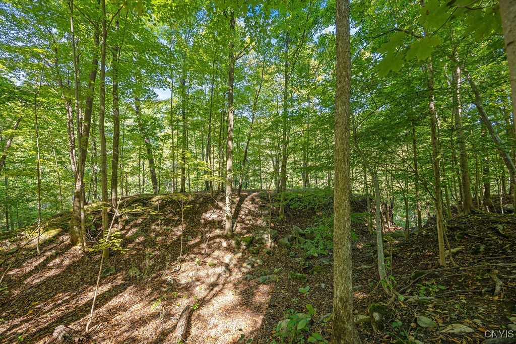 2b Pompey Center Road Manlius, NY 13104 - Photo 11 of 12 Gallery Image 11