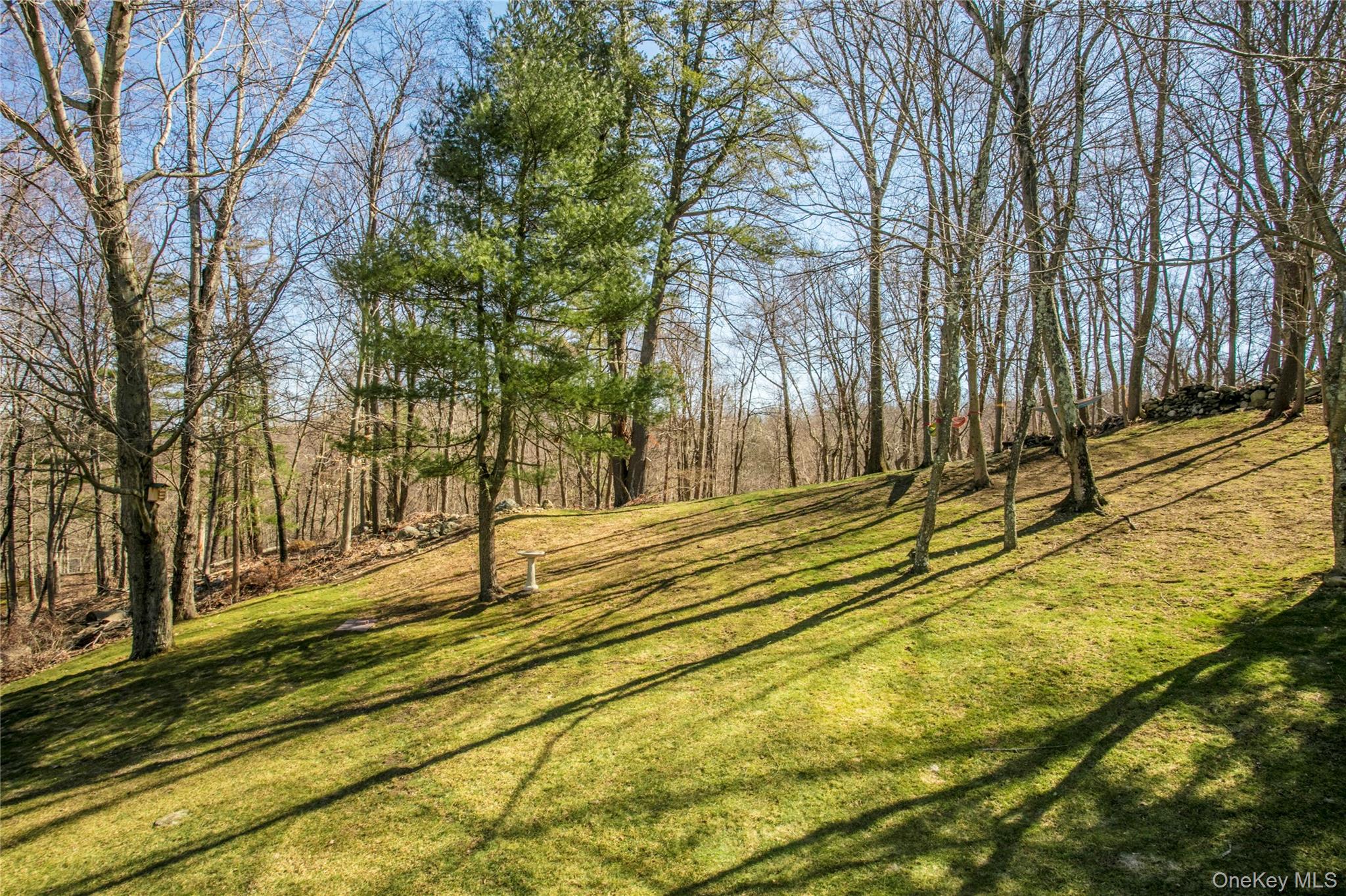 5 Hoffman Road Mount Kisco, NY 10549 - Photo 3 of 27
