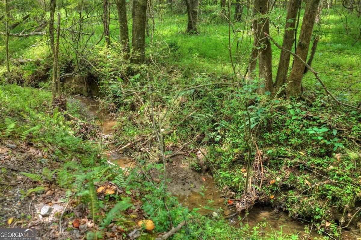 0 Scots Glen Road Mineral Bluff, GA 30559 - Photo 2 of 19