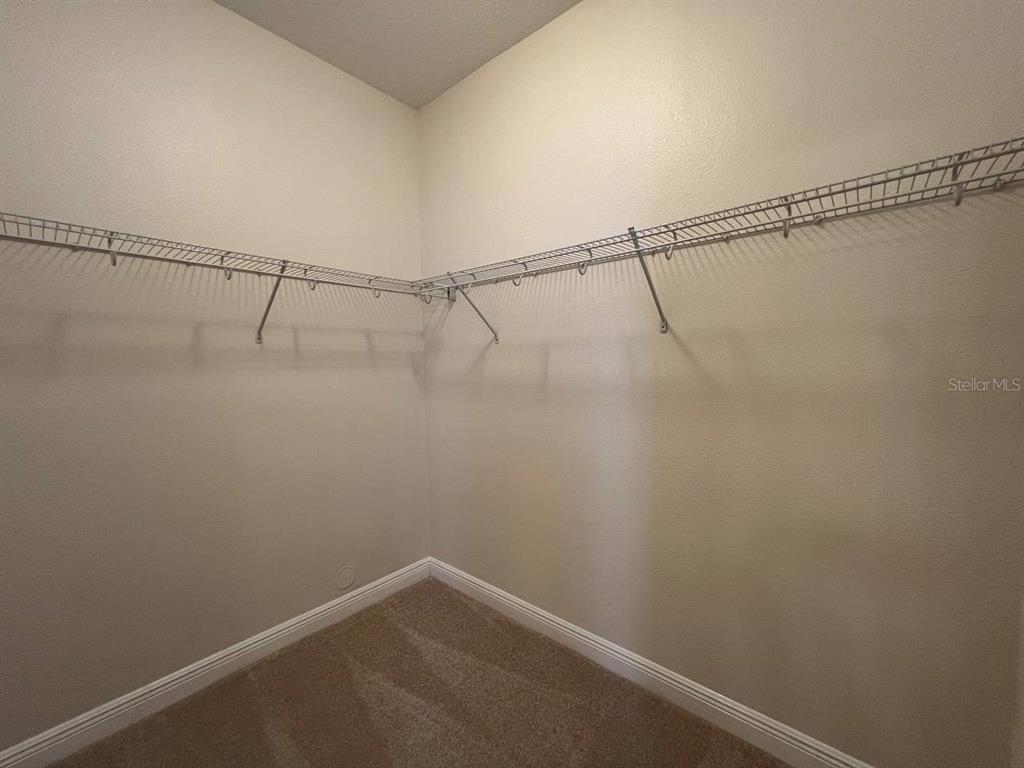 1692 Nature View Drive Lutz, FL 33558 - Photo 21 of 53 a view of small space with racks on the wall