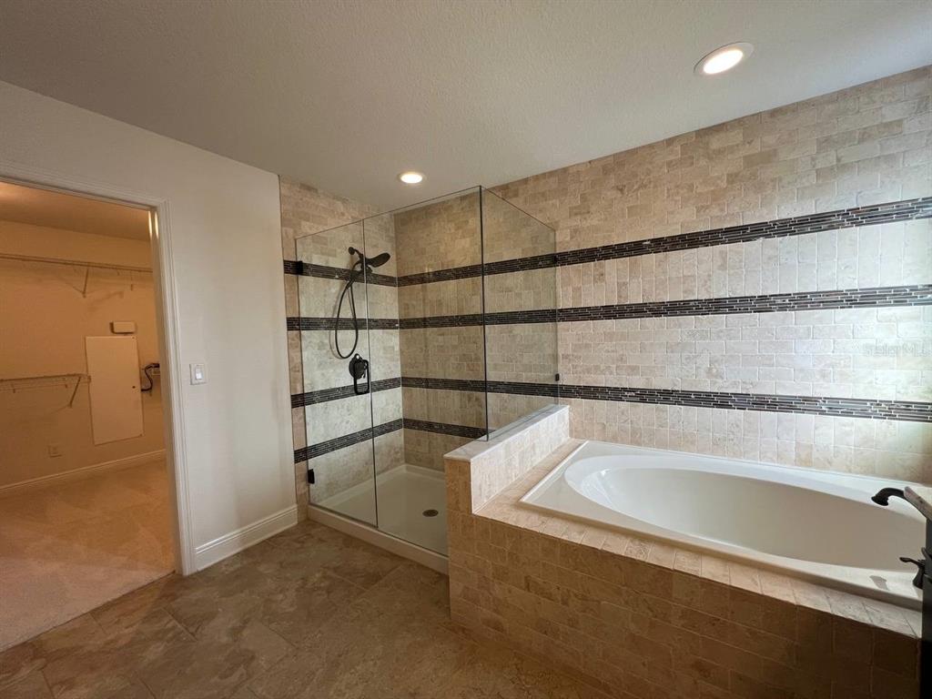 1692 Nature View Drive Lutz, FL 33558 - Photo 27 of 53 a view of a bathtub in a room