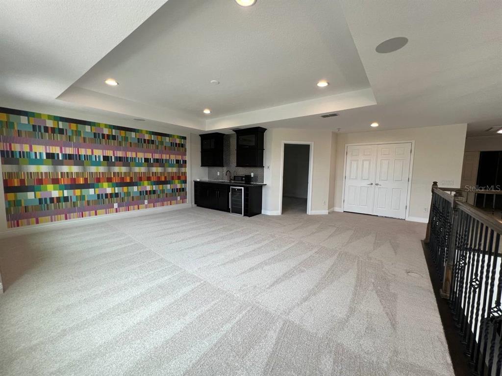 1692 Nature View Drive Lutz, FL 33558 - Photo 41 of 53 a view of an empty room with furniture and storage