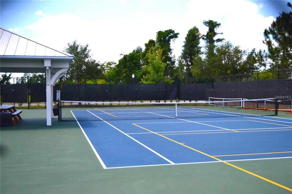 1692 Nature View Drive Lutz, FL 33558 - Photo 53 of 53 a view of a tennis court