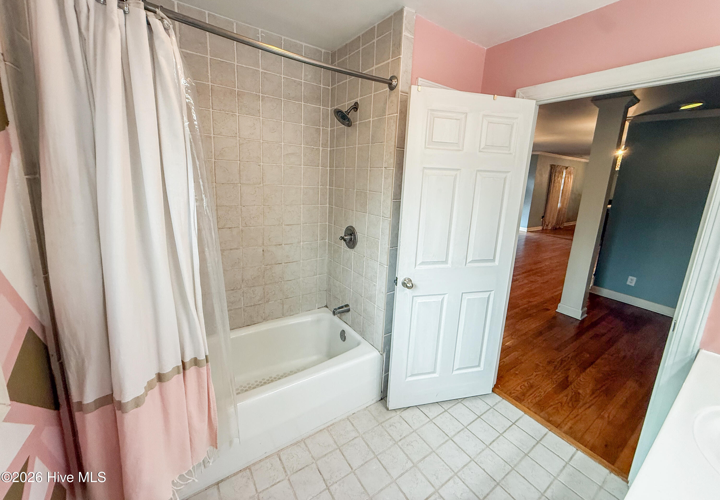 3758 North Mitchell Ford Road Bladenboro, NC 28320 - Photo 19 of 38 CT-4