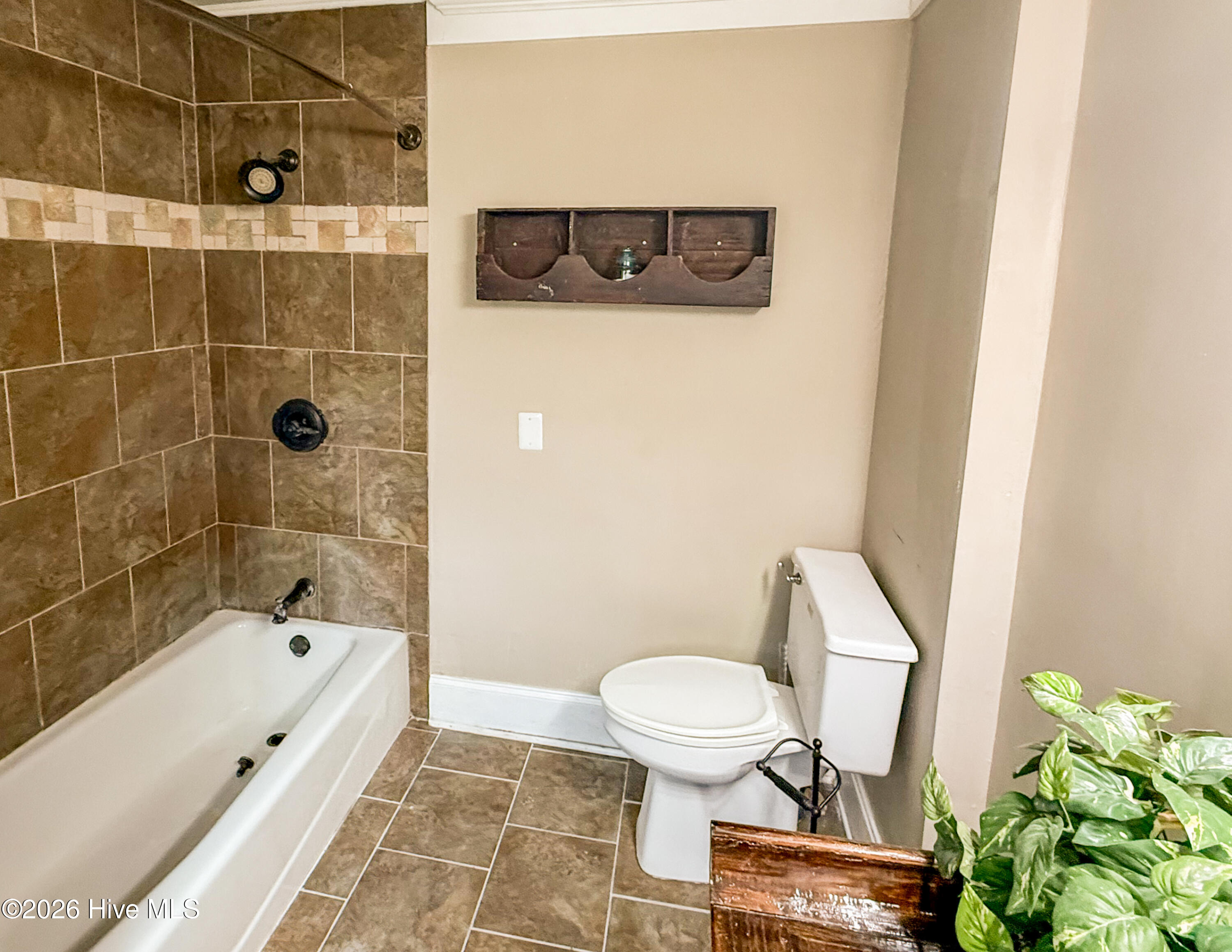 3758 North Mitchell Ford Road Bladenboro, NC 28320 - Photo 7 of 38 CT-2