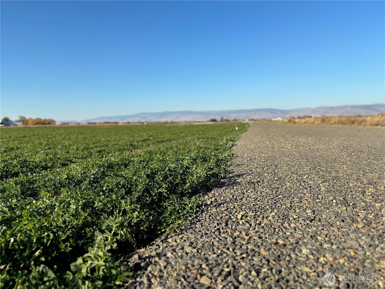 861 Lyons Road Ellensburg, WA 98926 - Photo 14 of 18 Gallery Image 14