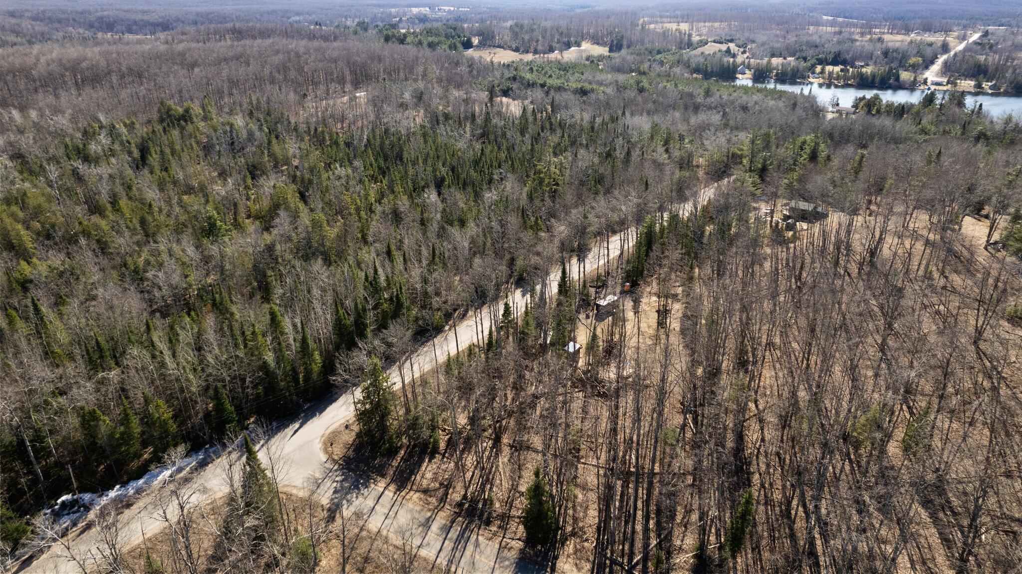 101-58 Lance Lake Road Wolverine, MI 49799 - Photo 12 of 19 Gallery Image 12