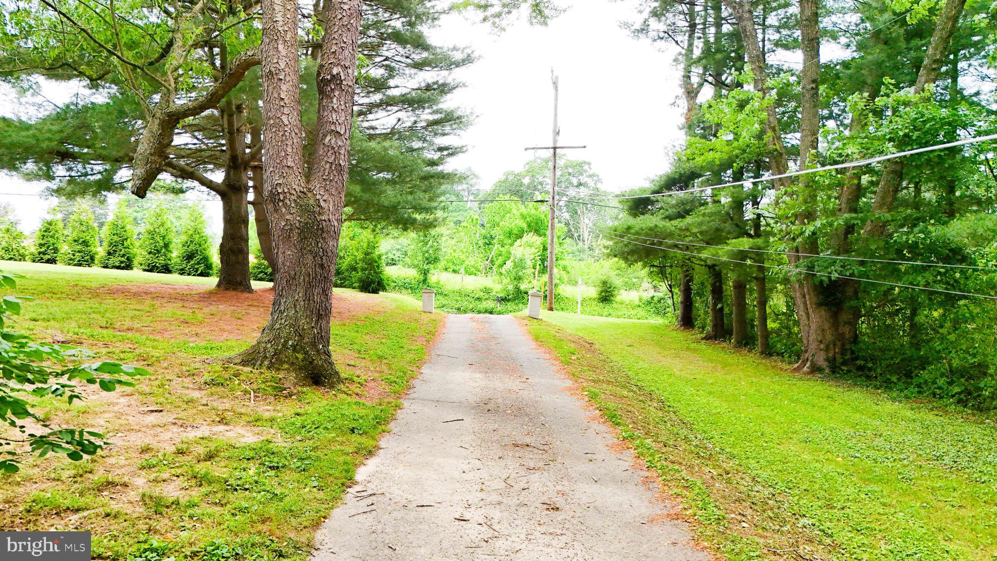147 Darlington Road Havre de Grace, MD 21078 - Photo 13 of 52 a view of a garden with a tree