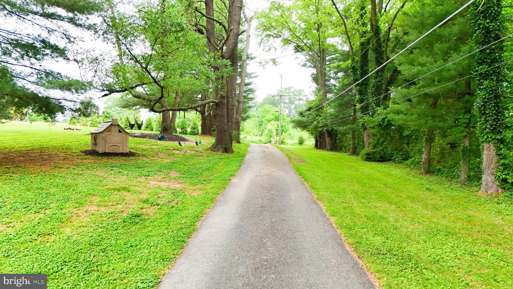 147 Darlington Road Havre de Grace, MD 21078 - Photo 15 of 52 a view of a garden with trees