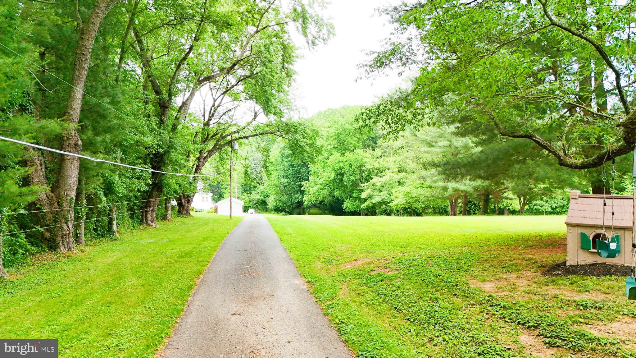 147 Darlington Road Havre de Grace, MD 21078 - Photo 4 of 52 a view of a garden with a tree in a park