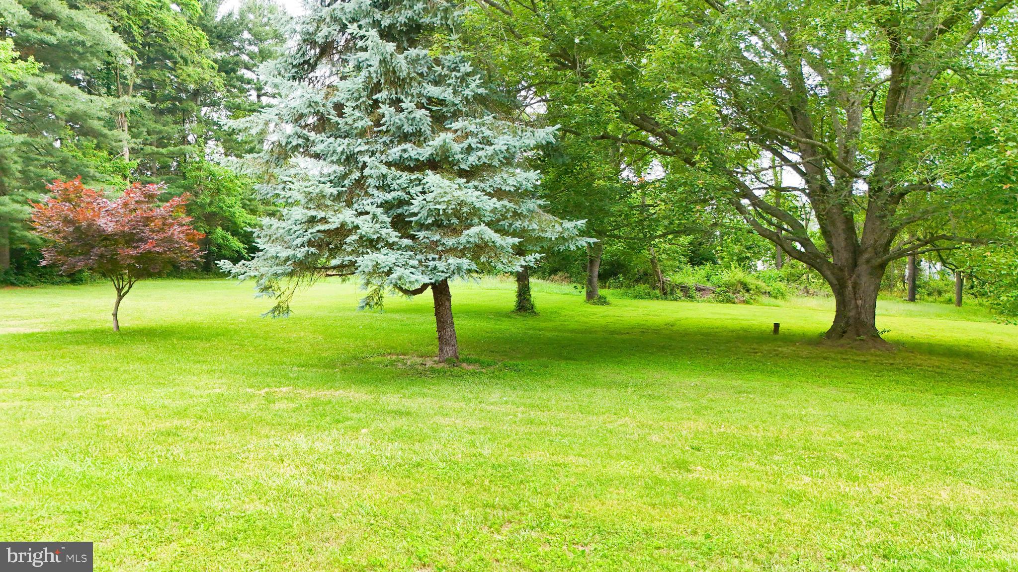 147 Darlington Road Havre de Grace, MD 21078 - Photo 51 of 52 a view of green field with trees