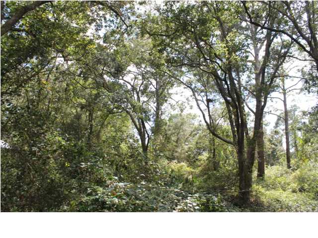 195 Crooked River Road Carrabelle, FL 32322 - Photo 1 of 1