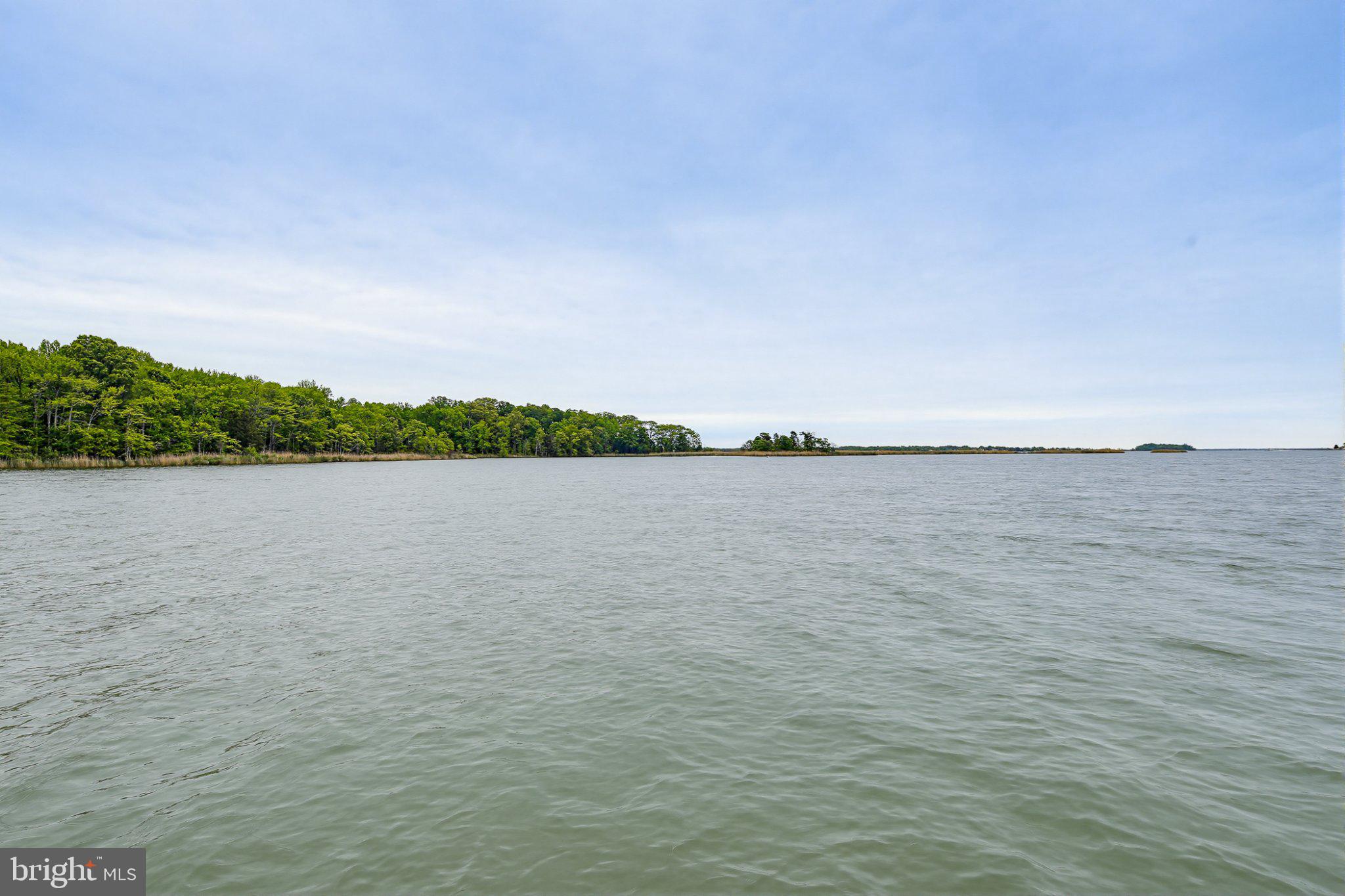 3641 Branhum Road Edgewater, MD 21037 - Photo 11 of 63 Serene waters meet lush greenery.