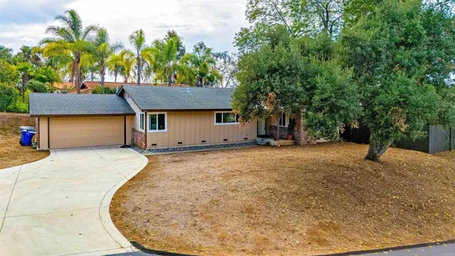 a house with a tree in the background