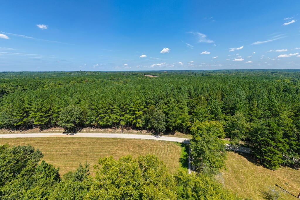 Davis Lowground Road, Unit 9 Keysville, VA 23947 - Photo 10 of 17 Gallery Image 10