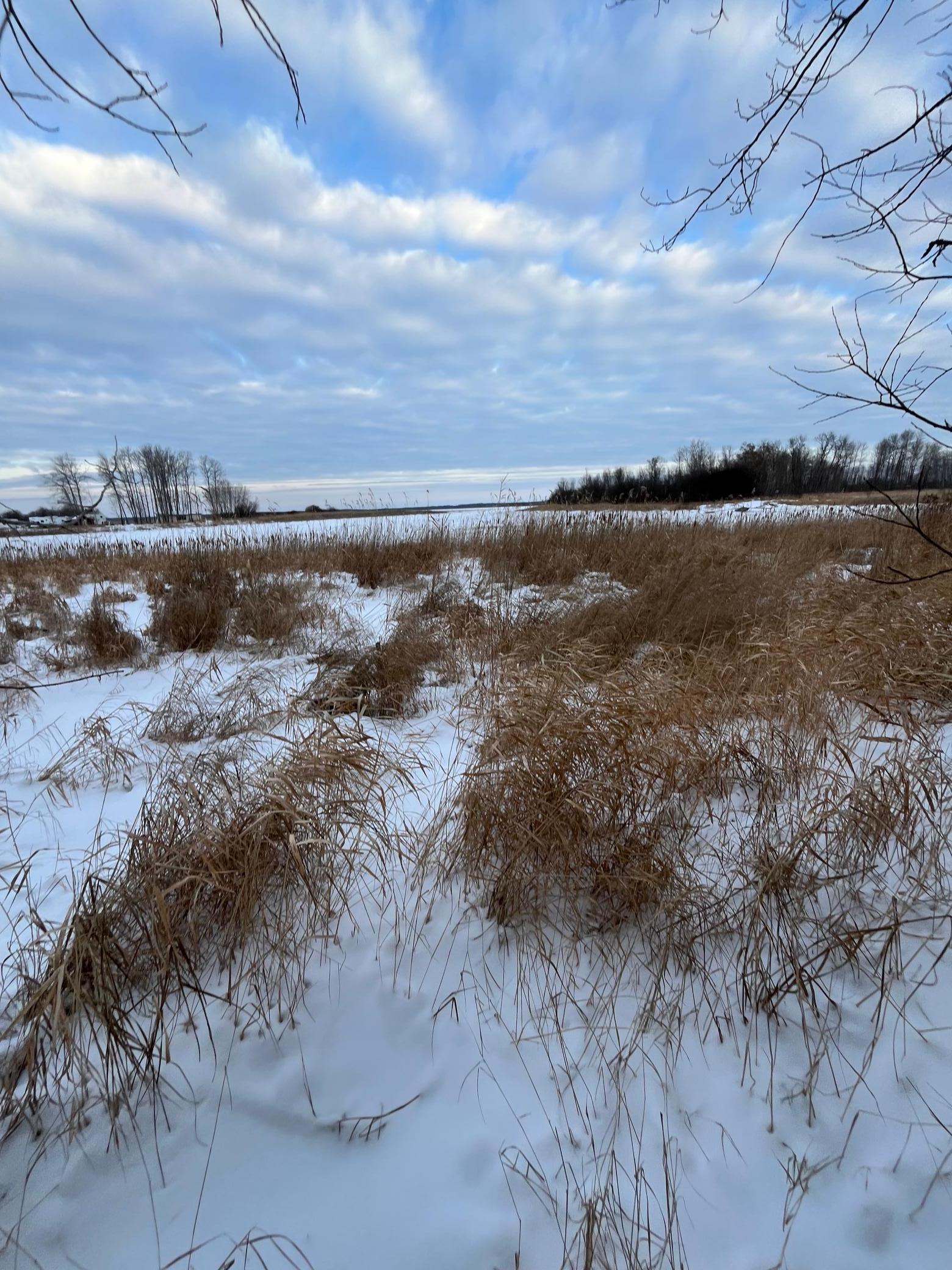 1 East Pine Drive Angle Inlet, MN 56711 - Photo 12 of 21