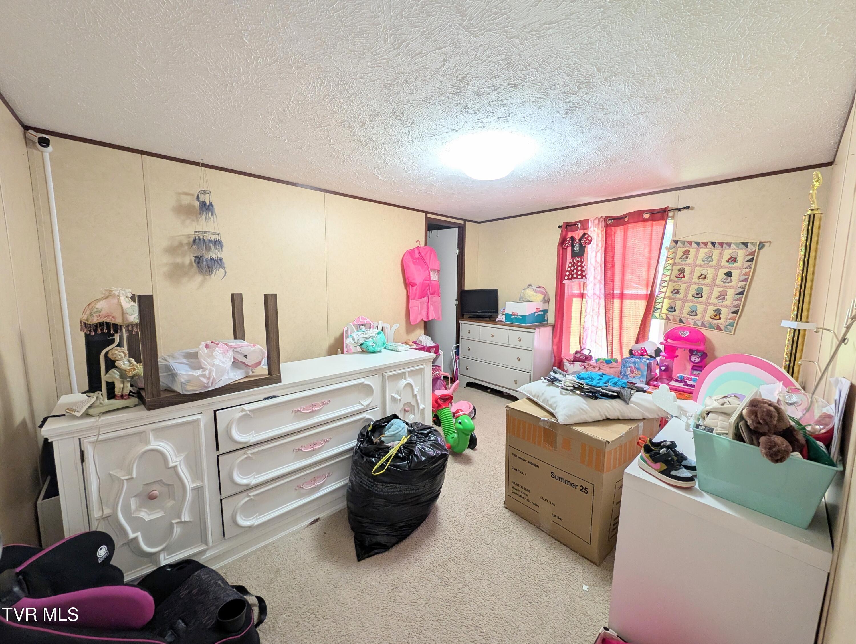 585 Little Brushy Road Coeburn, VA 24230 - Photo 12 of 17 1000015311