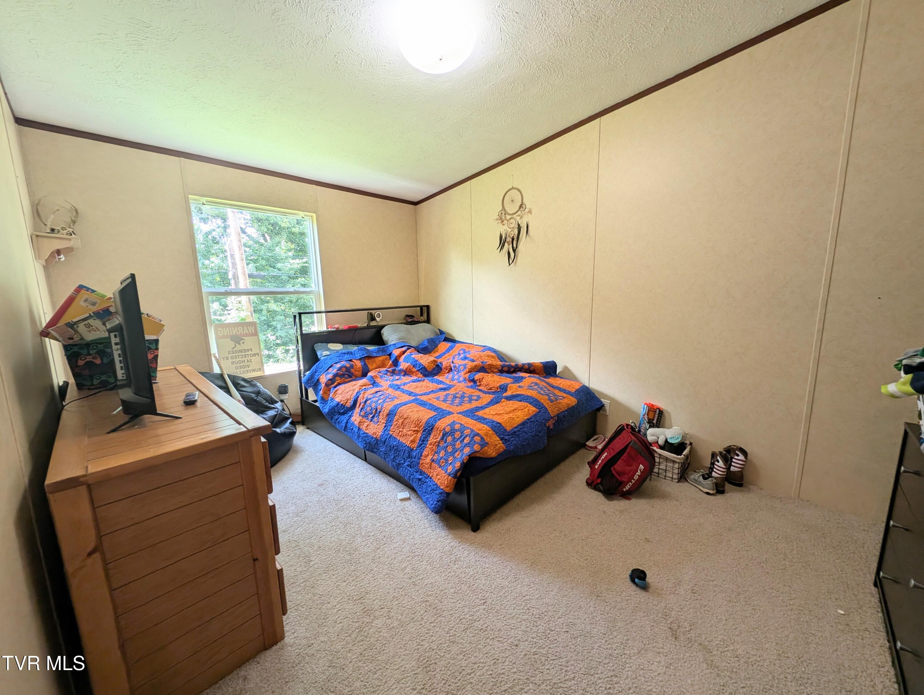 585 Little Brushy Road Coeburn, VA 24230 - Photo 14 of 17 1000015313