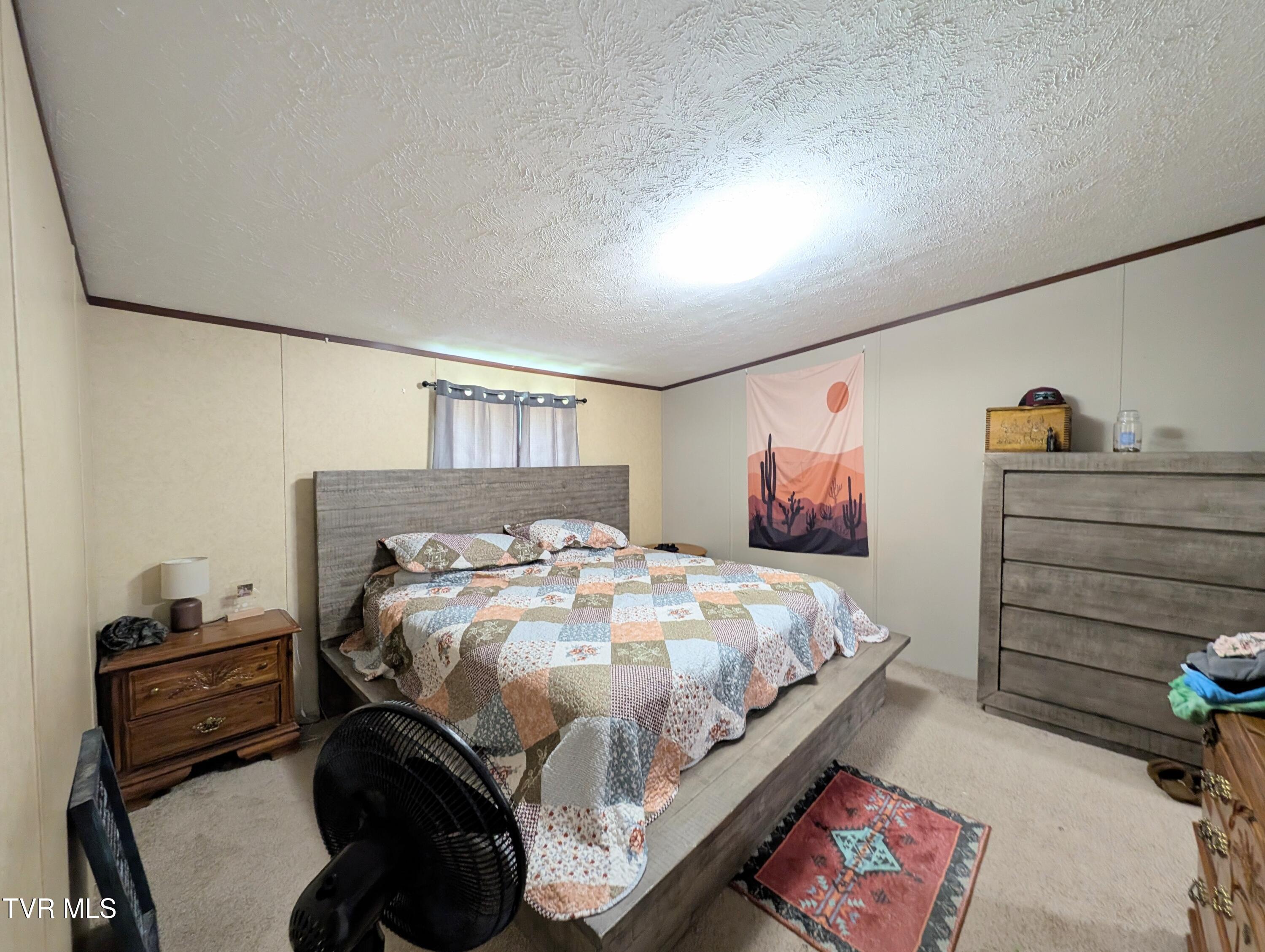 585 Little Brushy Road Coeburn, VA 24230 - Photo 15 of 17 1000015318