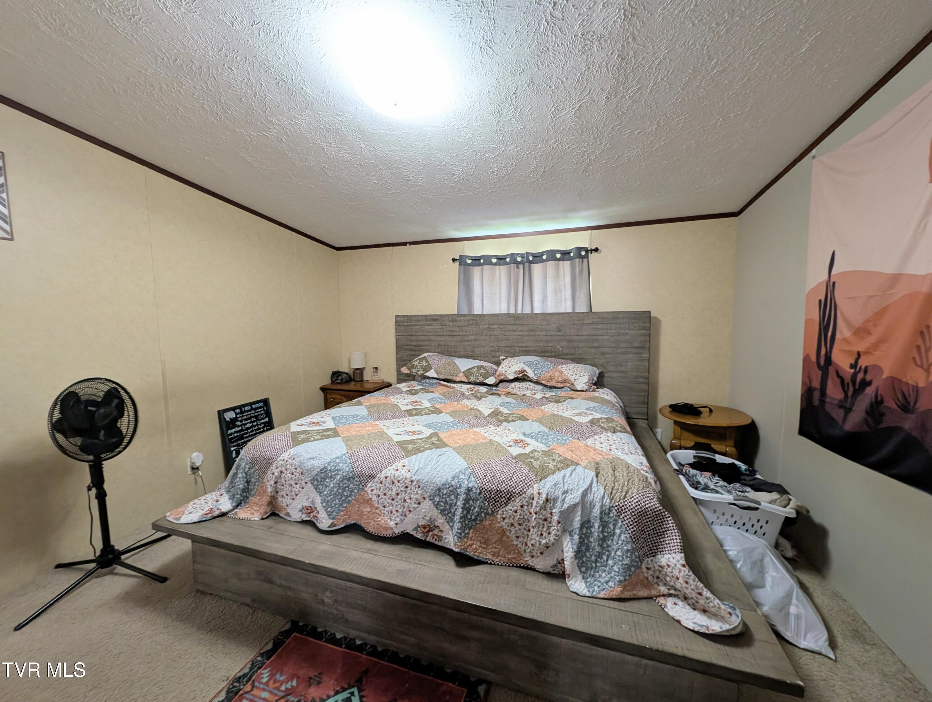 585 Little Brushy Road Coeburn, VA 24230 - Photo 16 of 17 1000015320