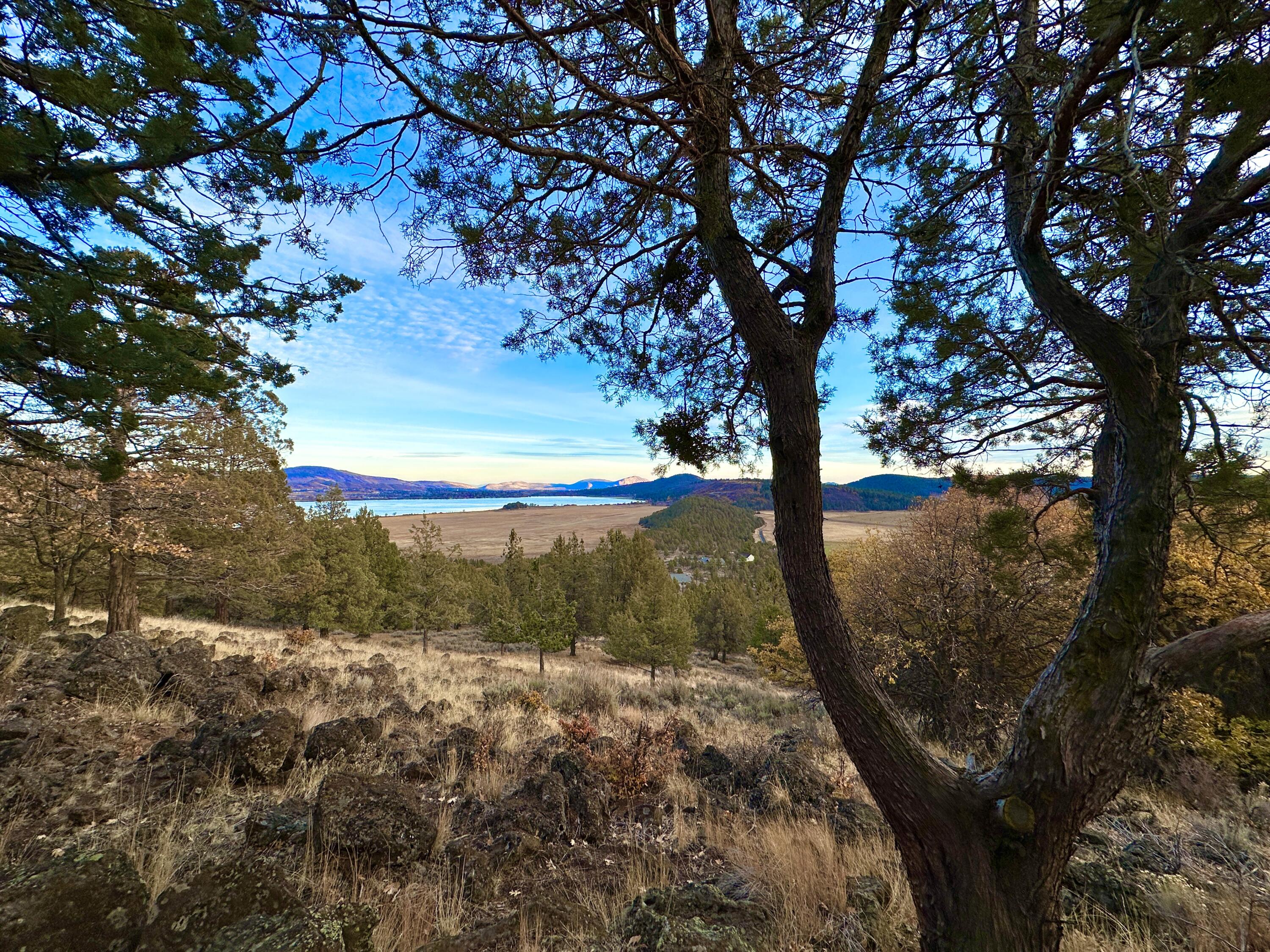 Coopers Hawk Road Klamath Falls, OR 97601 - Photo 2 of 19 IMG_6885