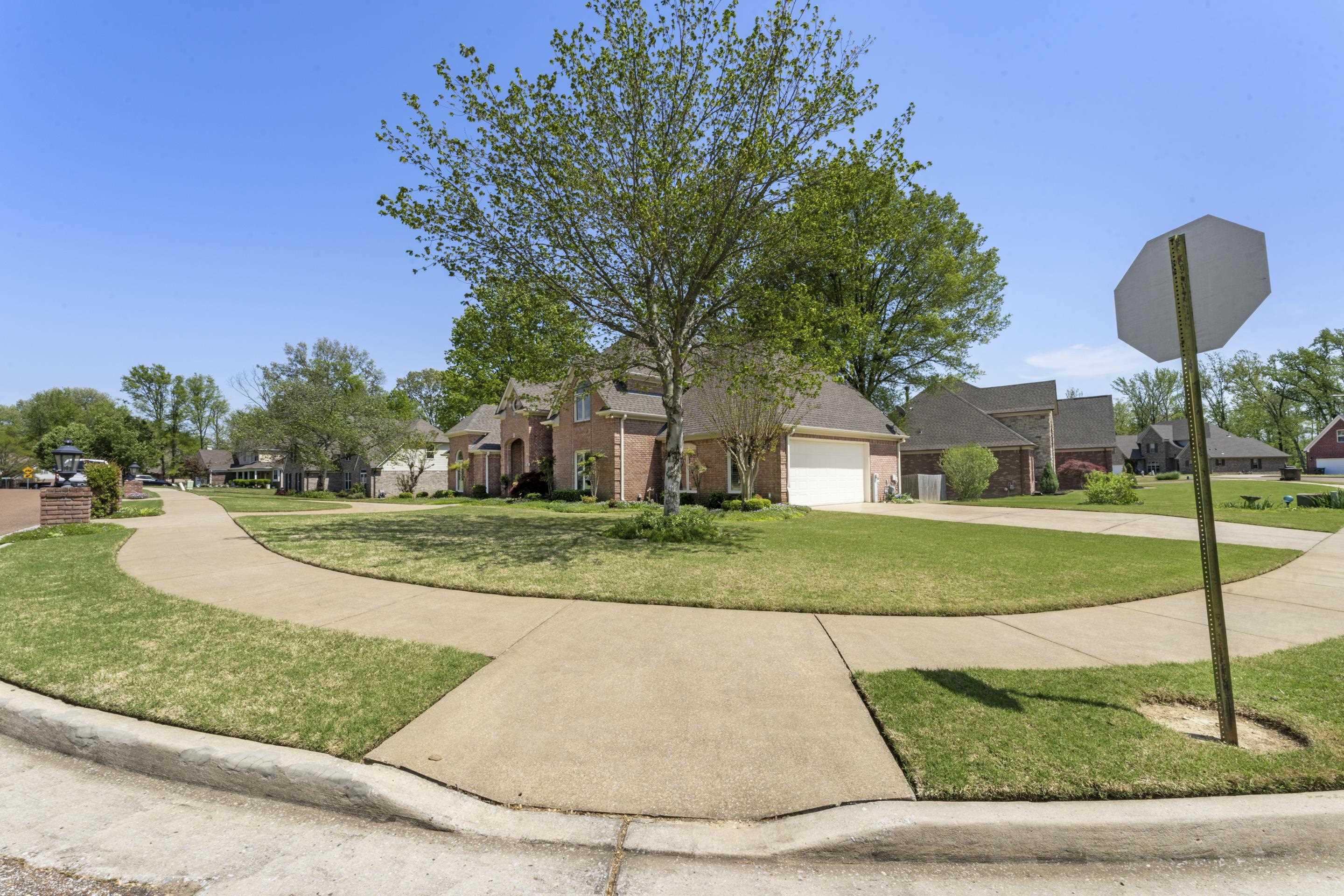 4132 Blackheath Drive Bartlett, TN 38135 - Photo 35 of 40 a view of a house with a big yard plants and large trees