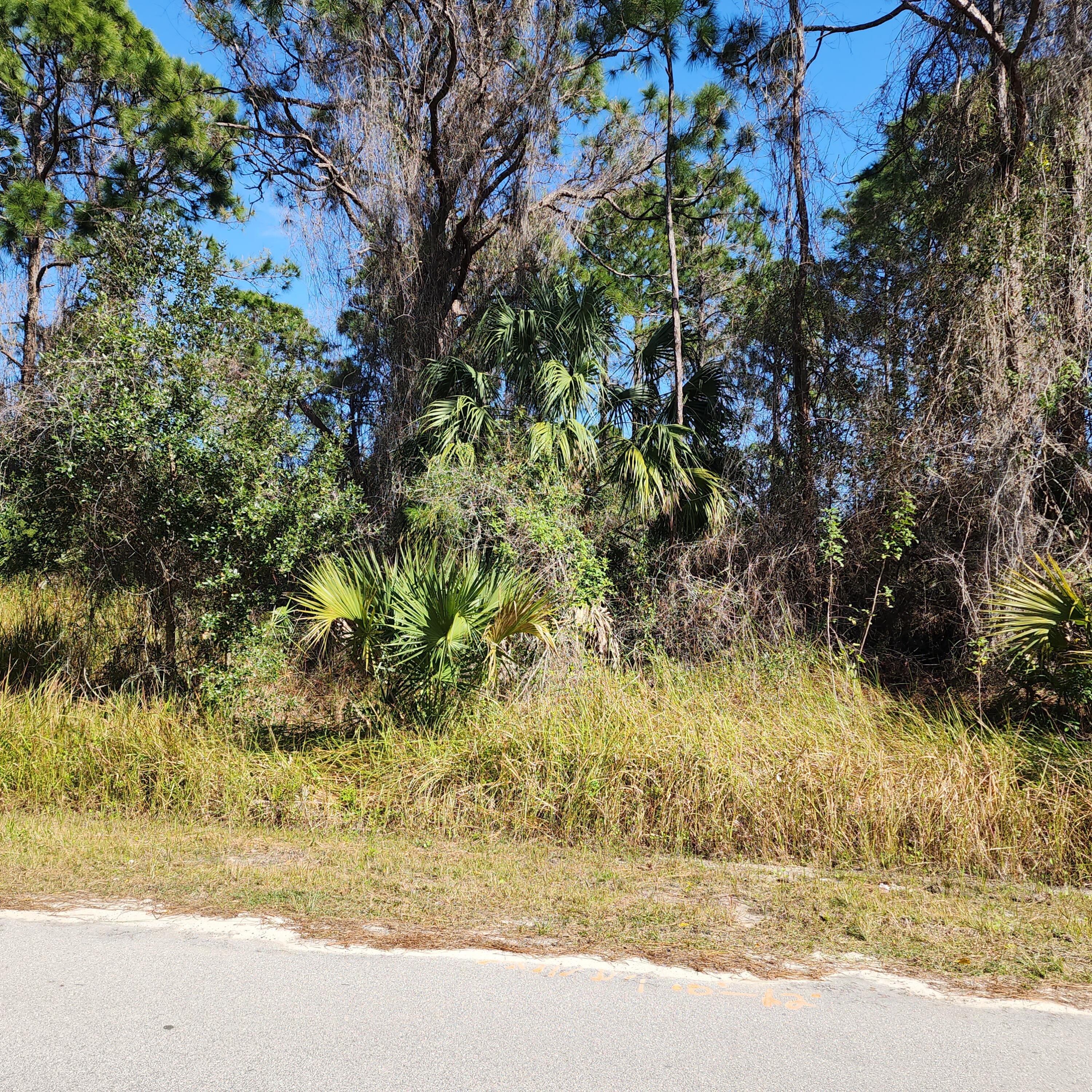 408 Scarlet Road Southwest Palm Bay, FL 32908 - Photo 1 of 5 20240207_140439