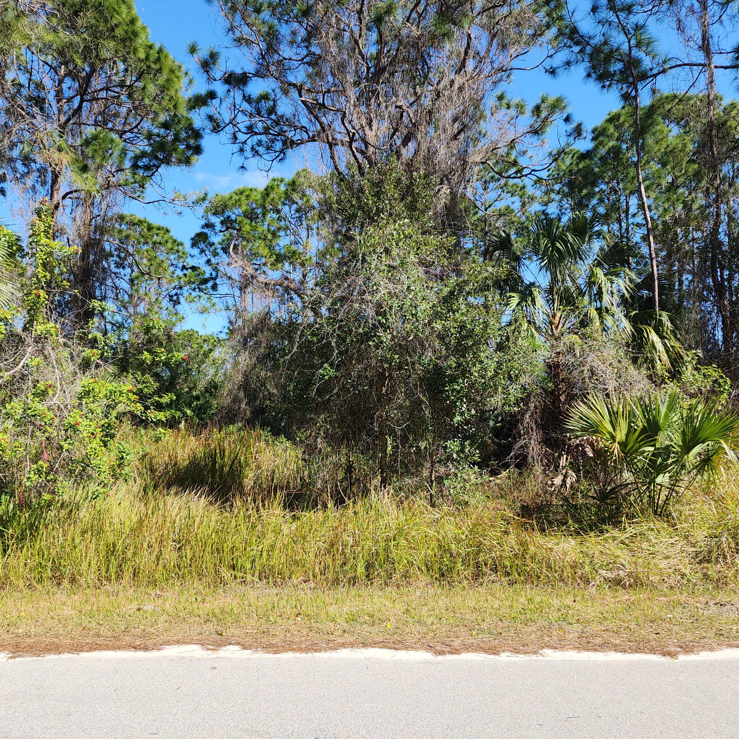 408 Scarlet Road Southwest Palm Bay, FL 32908 - Photo 5 of 5 20240207_140518