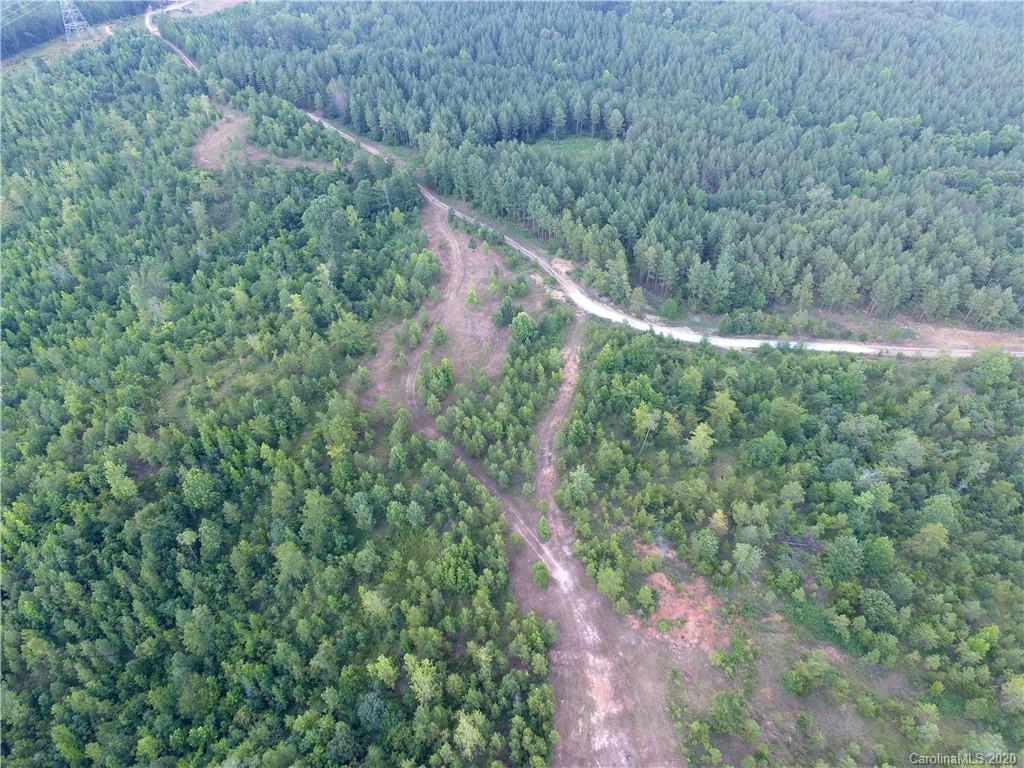1581 Dan Sexton Road York, SC 29745 - Photo 12 of 18 a view of a forest with a yard
