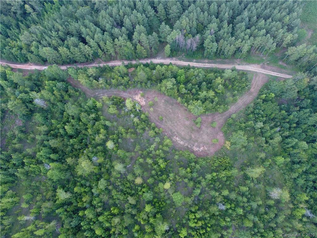 1581 Dan Sexton Road York, SC 29745 - Photo 13 of 18 a view of a yard with large trees