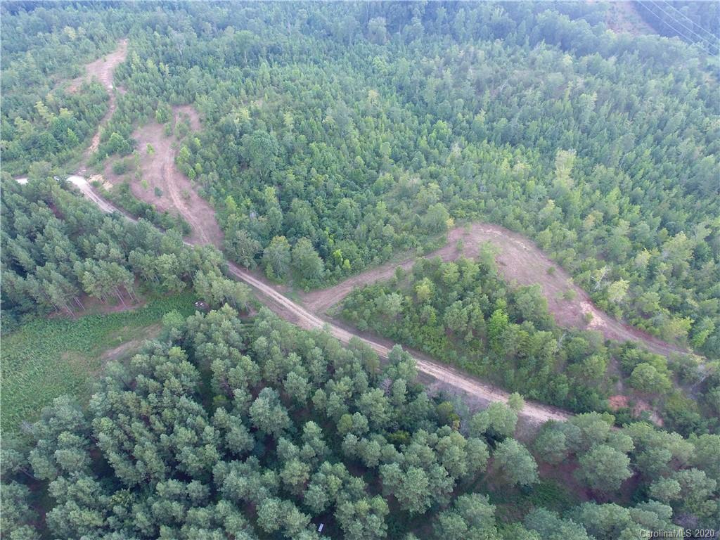 1581 Dan Sexton Road York, SC 29745 - Photo 15 of 18 a view of a forest with a street