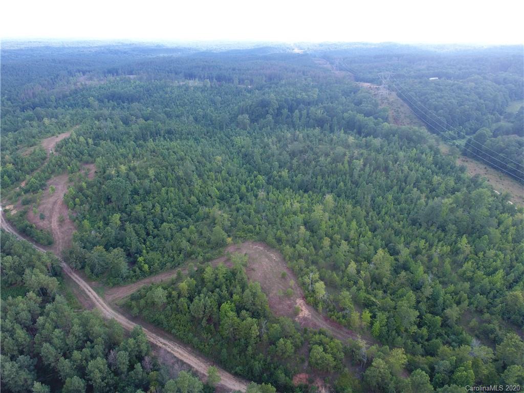 1581 Dan Sexton Road York, SC 29745 - Photo 16 of 18 a view of a forest with a mountain
