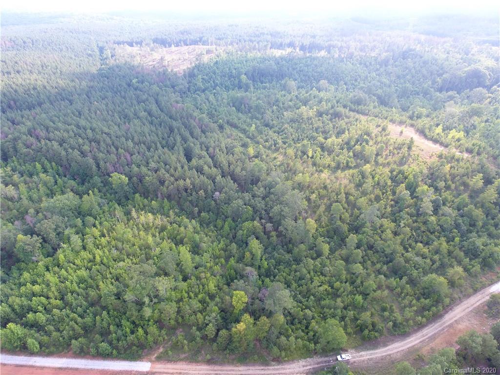 1581 Dan Sexton Road York, SC 29745 - Photo 3 of 18 an aerial view of forest