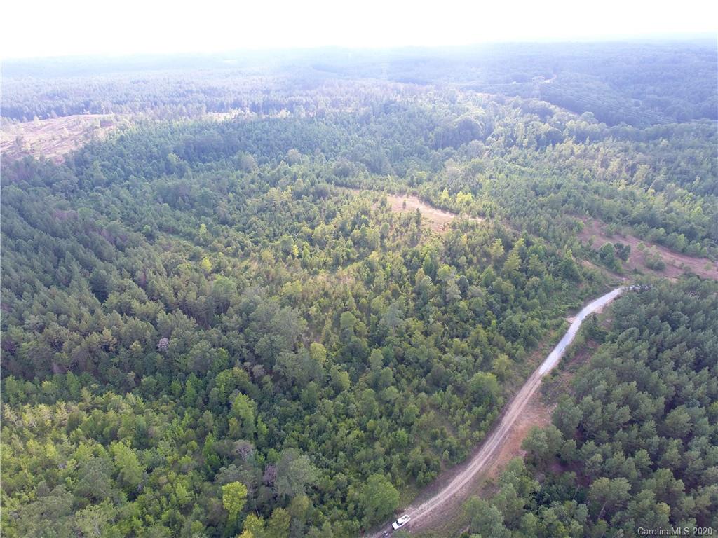 1581 Dan Sexton Road York, SC 29745 - Photo 4 of 18 a view of a forest with a mountain in the back