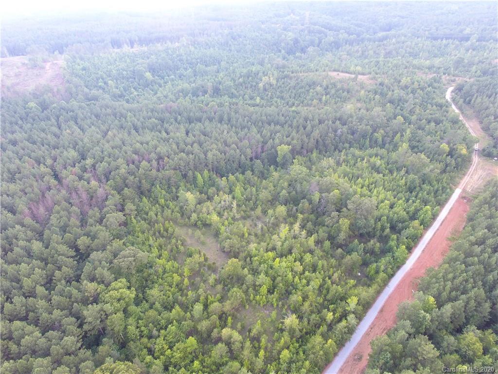 1581 Dan Sexton Road York, SC 29745 - Photo 5 of 18 a view of a forest from a window