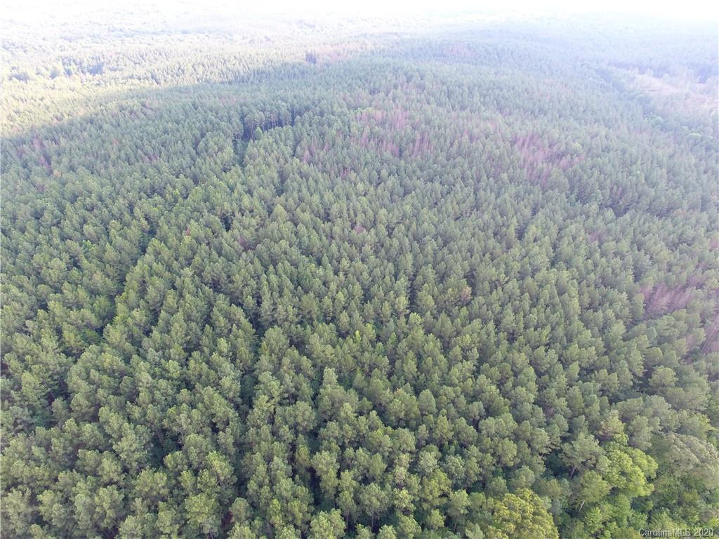 1581 Dan Sexton Road York, SC 29745 - Photo 6 of 18