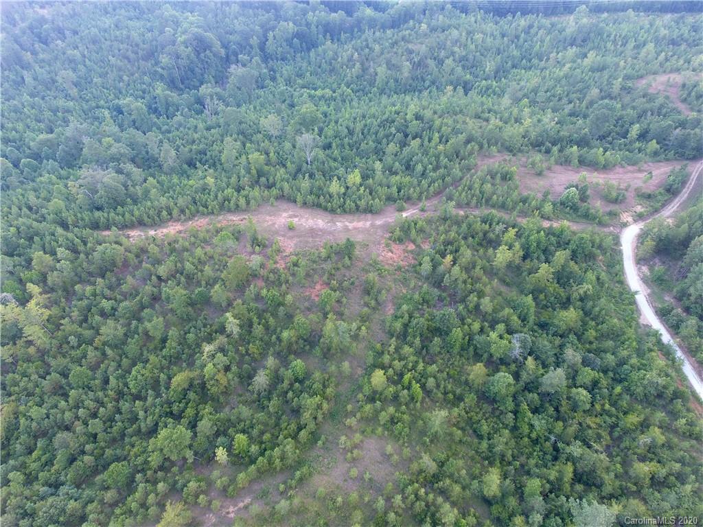 1581 Dan Sexton Road York, SC 29745 - Photo 9 of 18 a view of a forest with a street