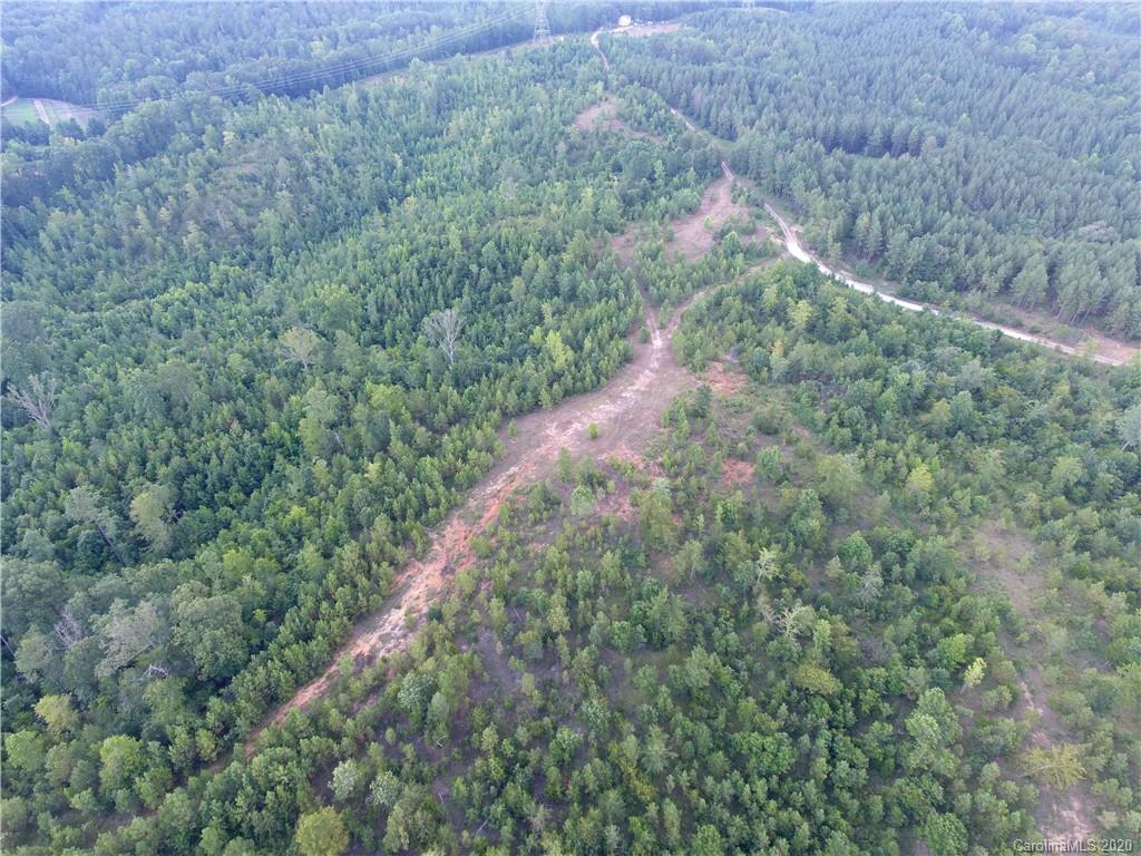 1581 Dan Sexton Road York, SC 29745 - Photo 10 of 18 a view of a forest with a tree