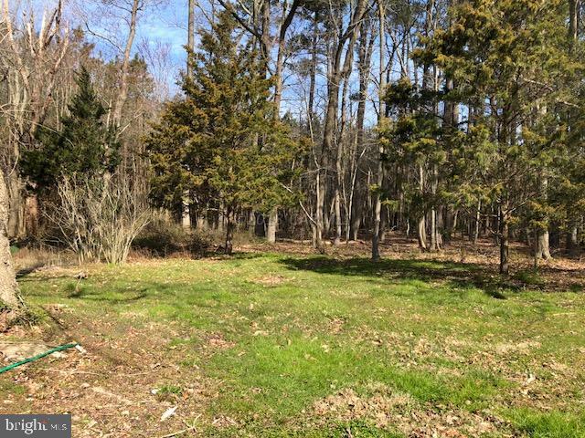 7713 Libertytown Road Berlin, MD 21811 - Photo 10 of 14 a backyard of building with trees