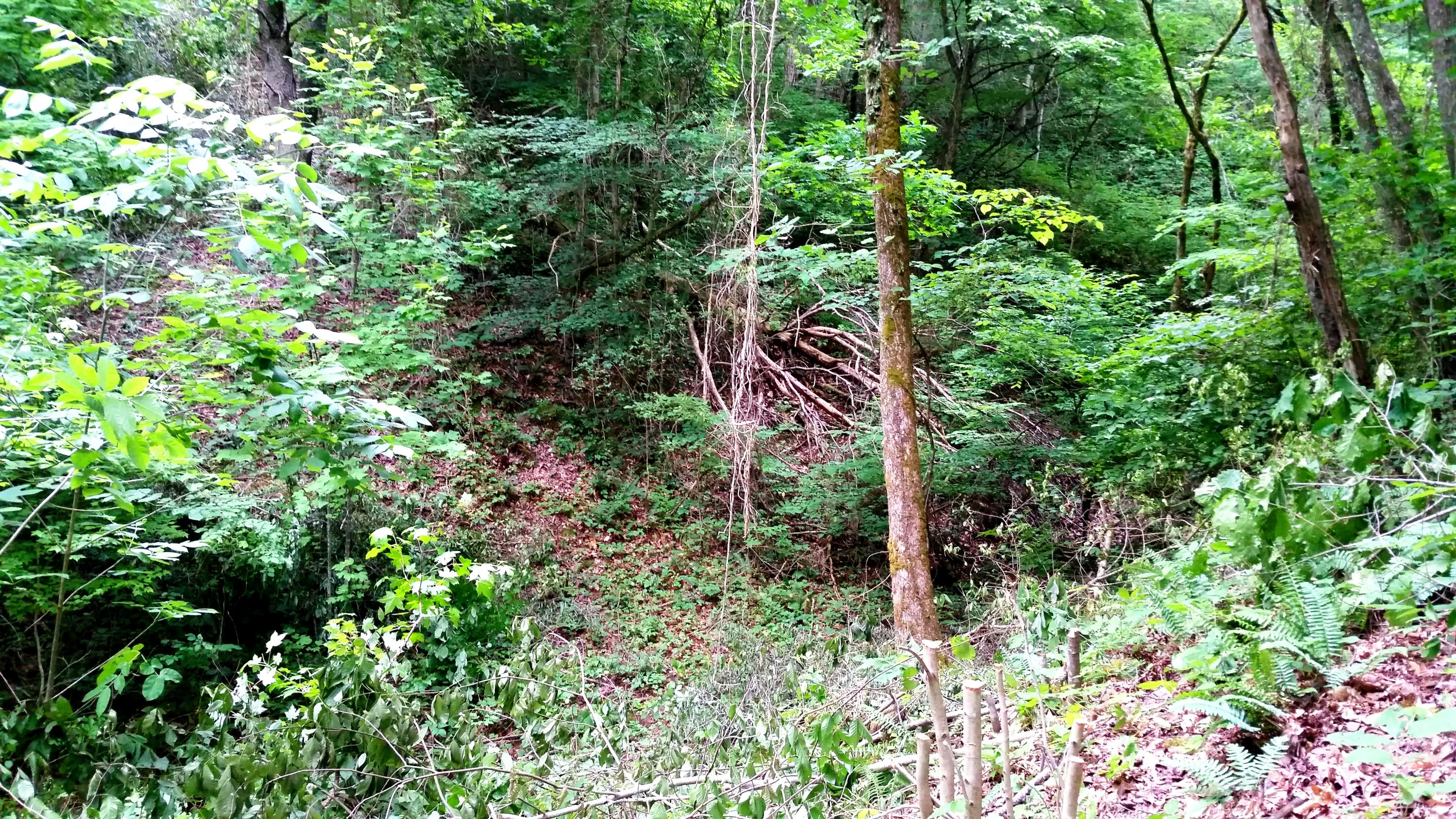 Parton Hollow Road Sevierville, TN 37876 - Photo 8 of 12 Valley