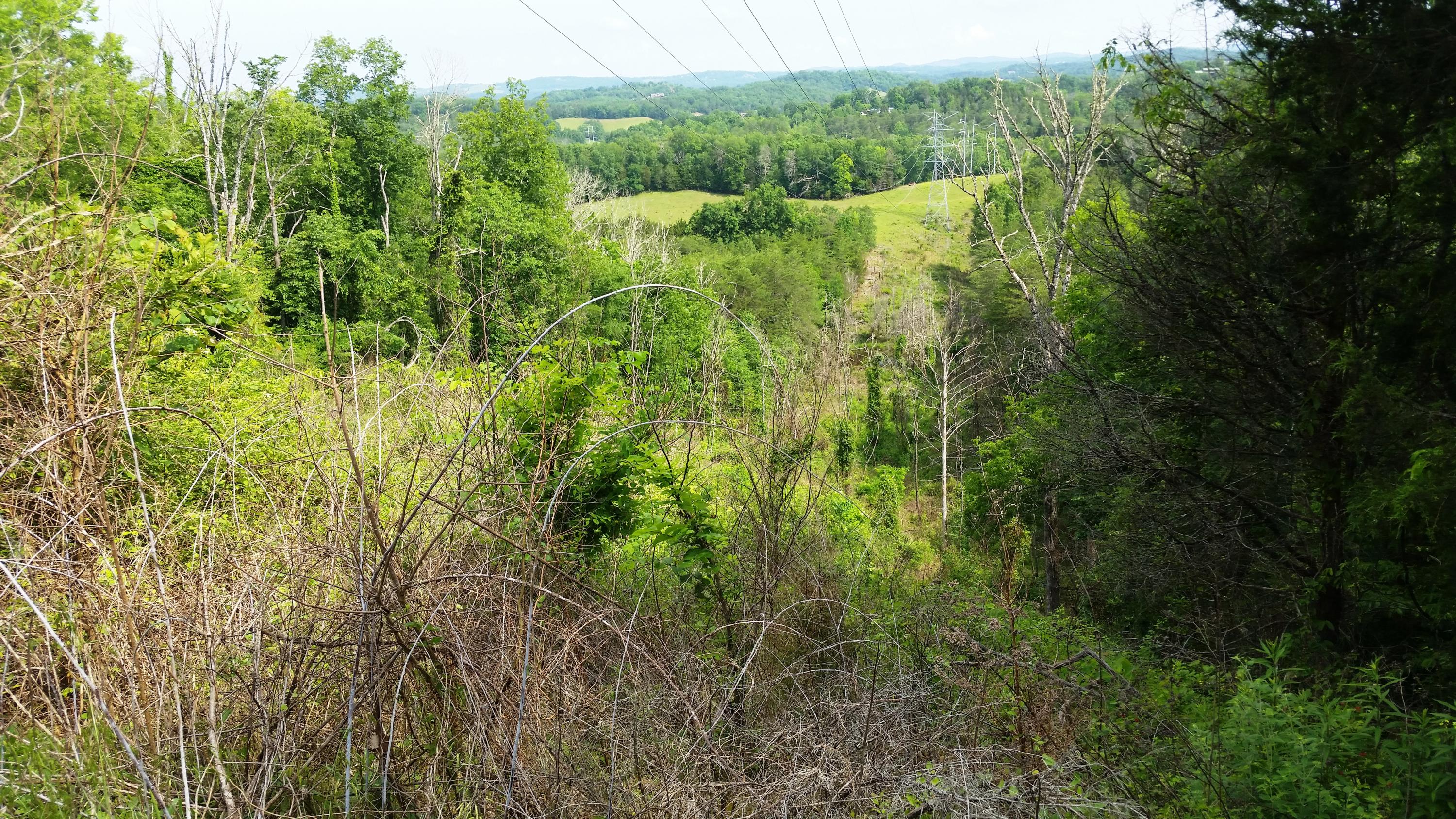 Parton Hollow Road Sevierville, TN 37876 - Photo 10 of 12 View down ridge