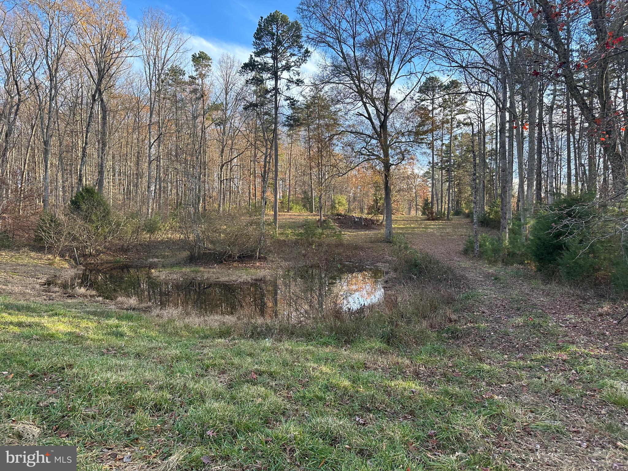 9042 Poindexter Road Louisa, VA 23093 - Photo 42 of 46
