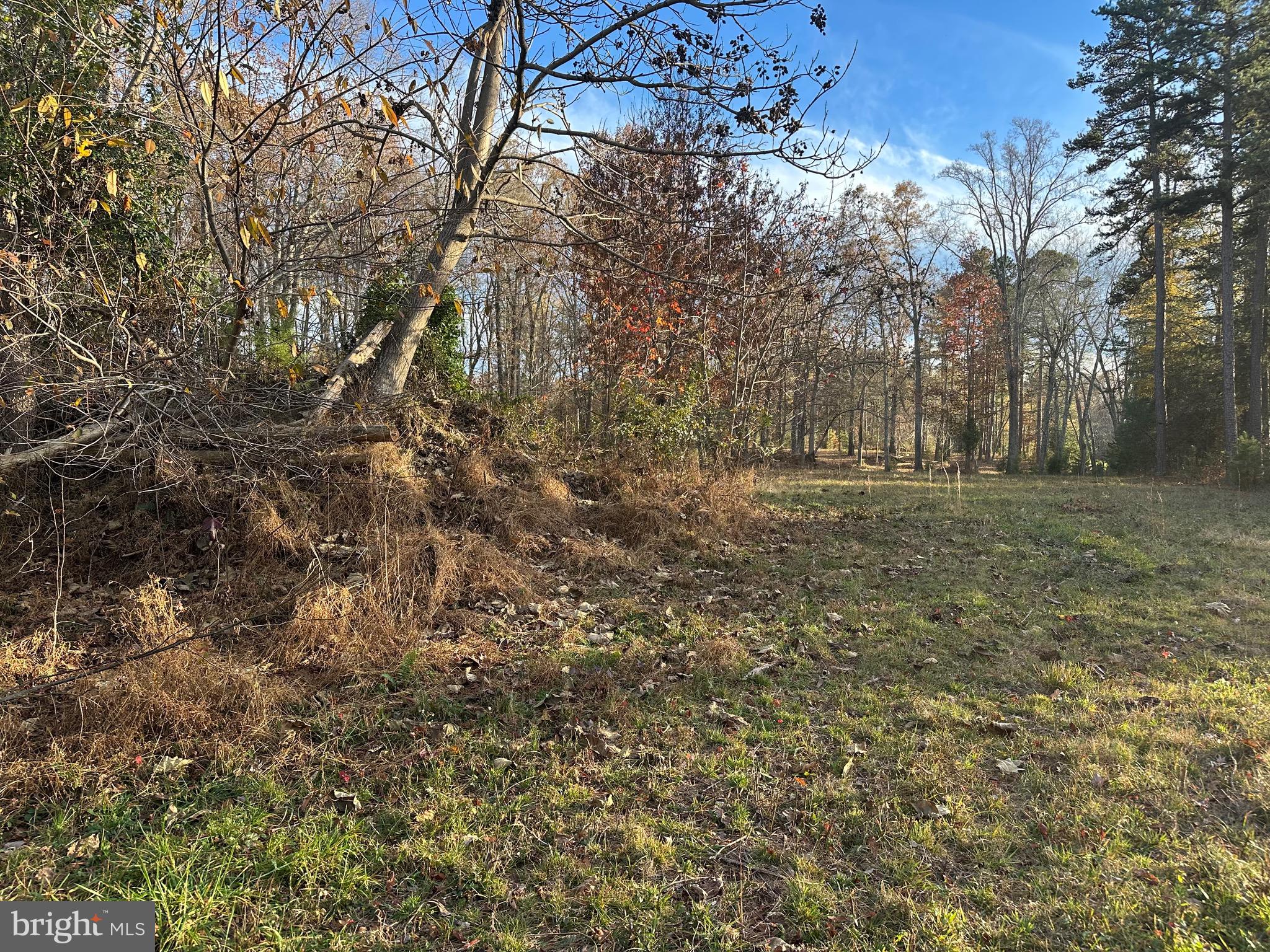 9042 Poindexter Road Louisa, VA 23093 - Photo 44 of 46